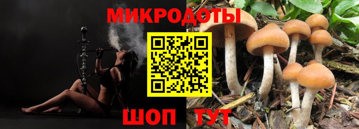 Псилоцибиновые грибы MAGIC MUSHROOMS  Вход с VPN  Псилоцибиновые грибы мицелий  Лесосибирск 